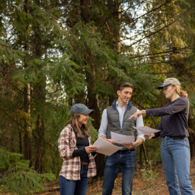 We Make Forest Restoration Projects Happen | Blue Forest
