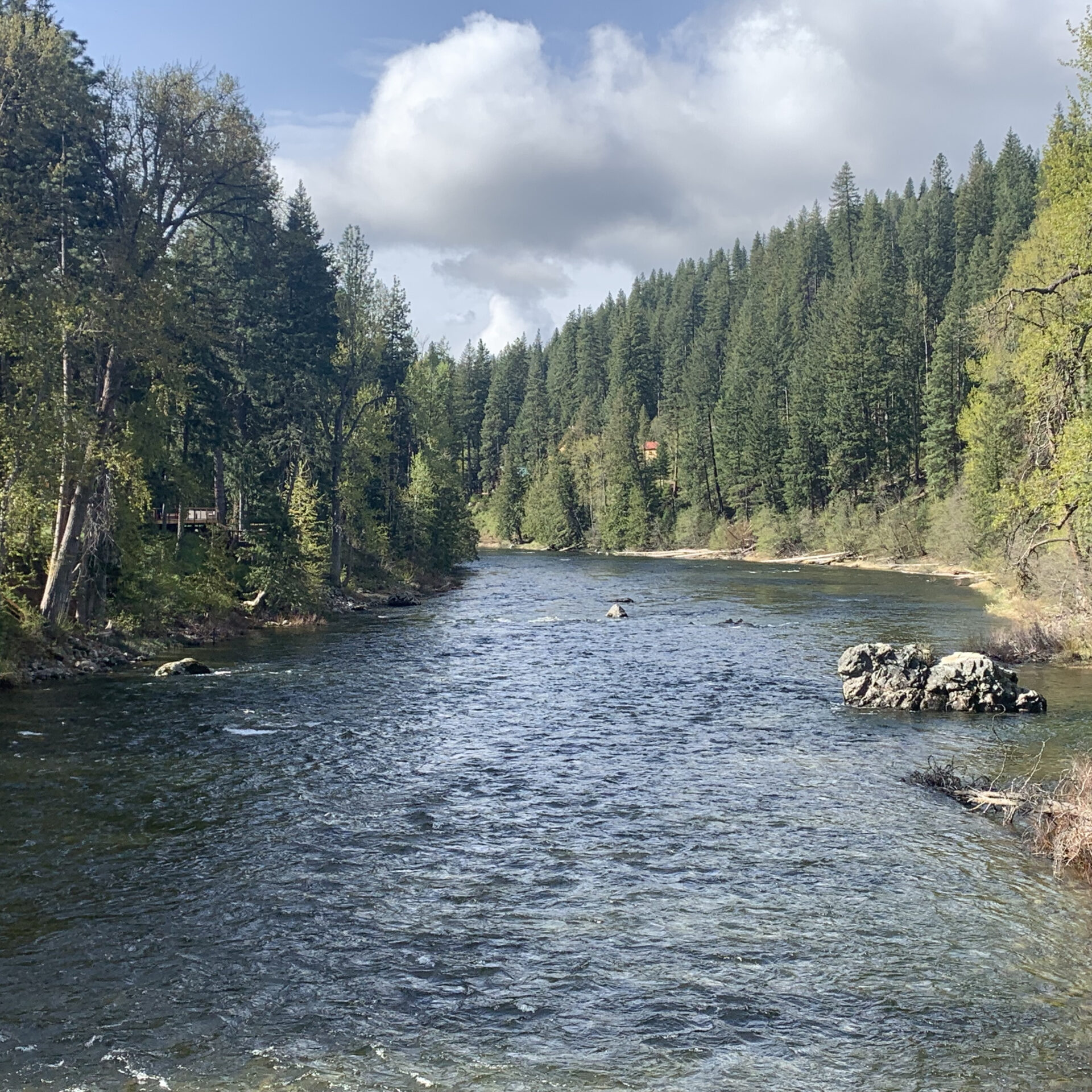 September 2024 Science Corner | Salmon, Snowpack, and Streamflow in the  Wenatchee River Watershed | Blue Forest