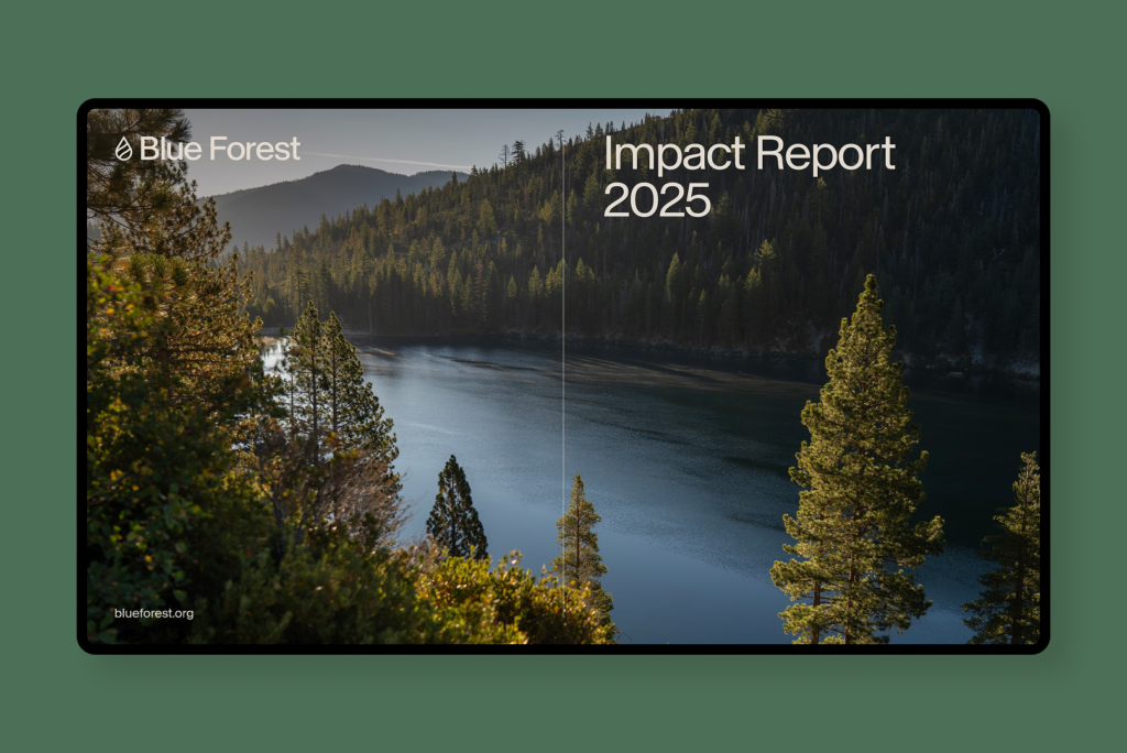 Blue Forest | Because landscape restoration needs to happen now